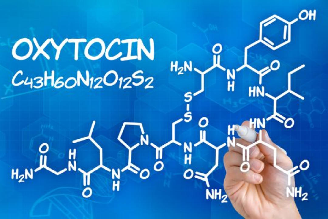 Nghiên cứu mới cho thấy: Oxytocin có thể giúp bộ não rũ bỏ nỗi sợ hãi